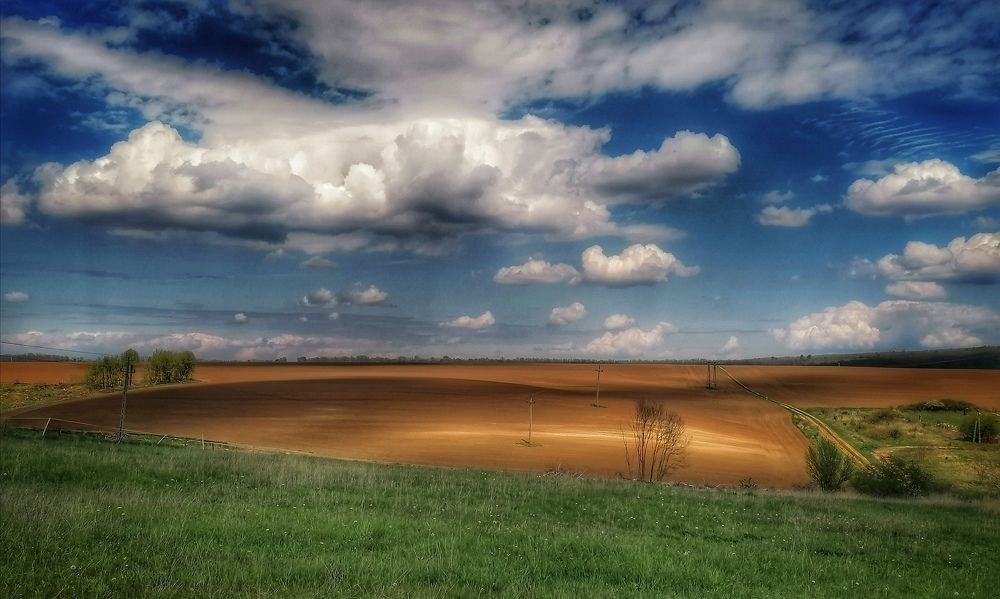 Photograph by Adrian Eperjessy