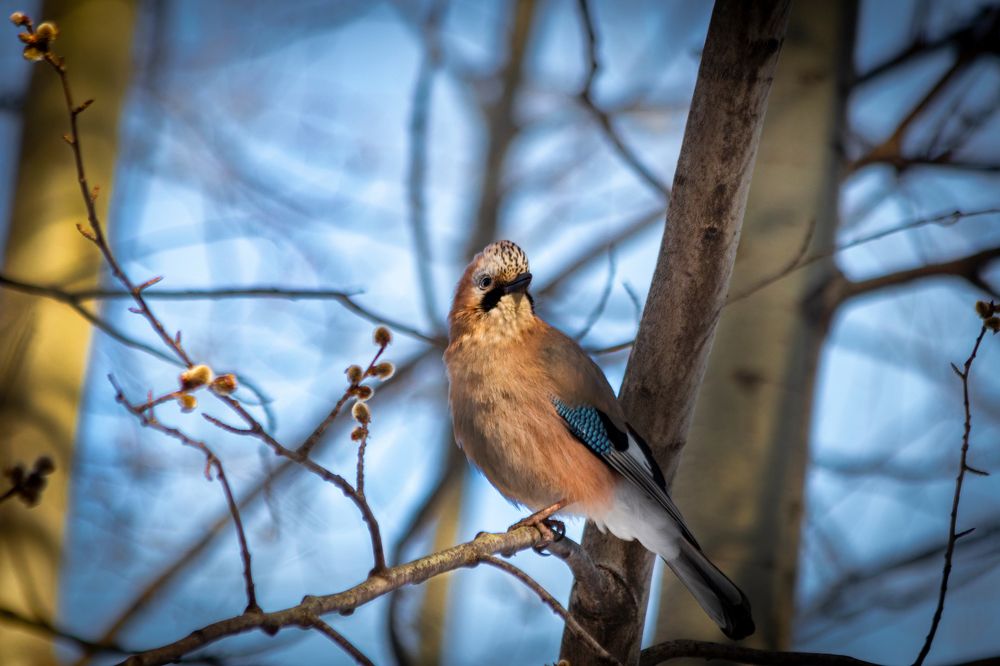 Photograph by Дмитрий Тимин