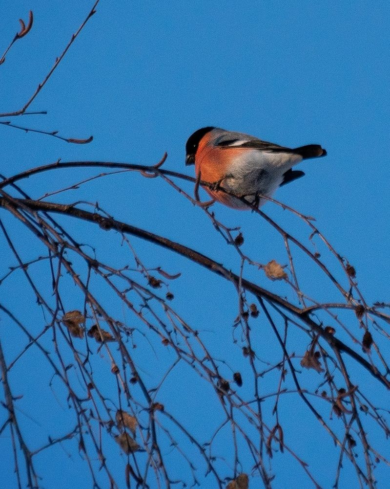 Photograph by Наталья Лабодина