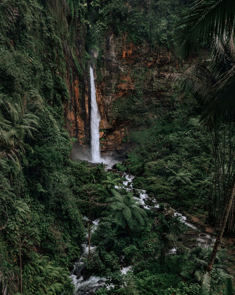 Photograph by Анастасия Сауль