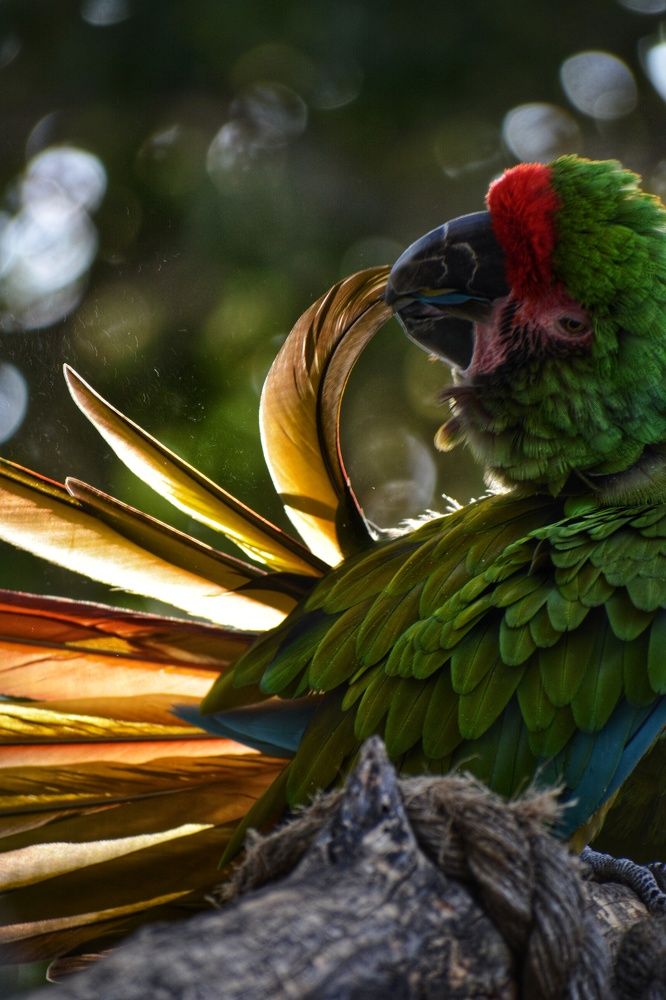 Photograph by Naga Bharath Vadla