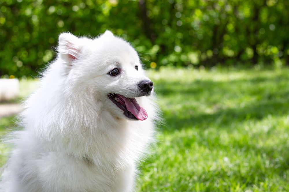 Photograph by Диана Докучаева