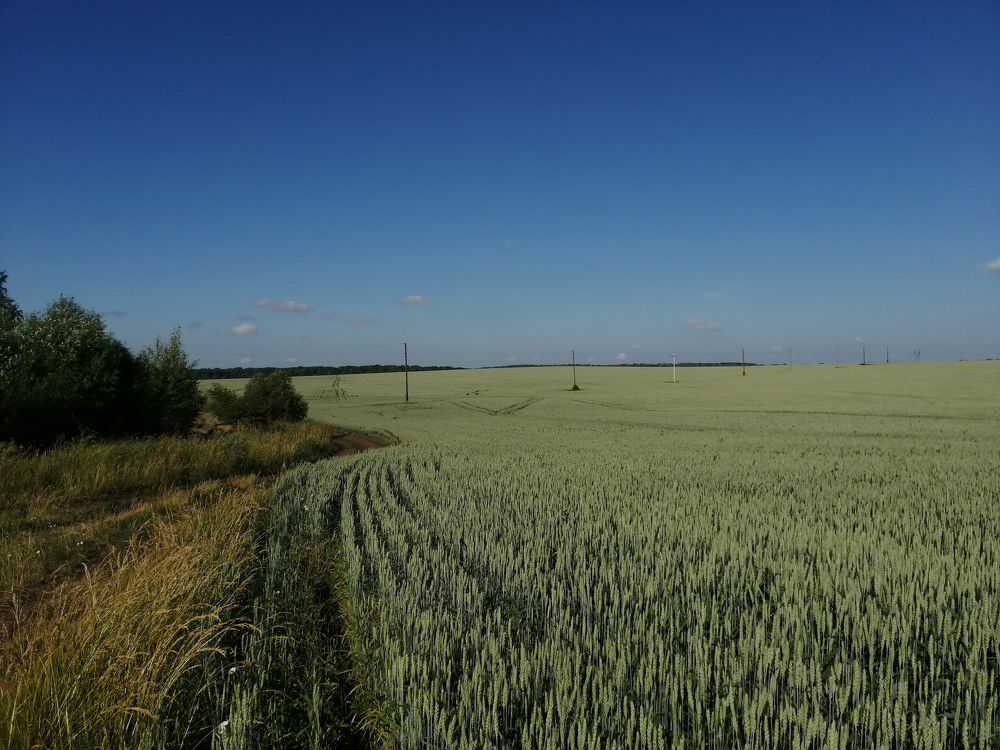 Photograph by Анка Ldinka