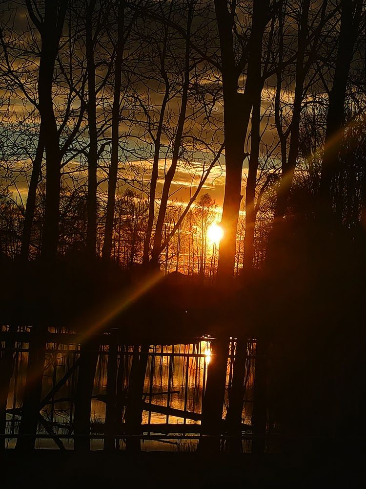 Photograph by Ольга Рыкова
