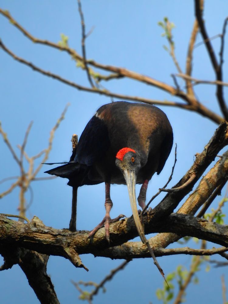 Photograph by SNIGDHA BHATTACHARJEE