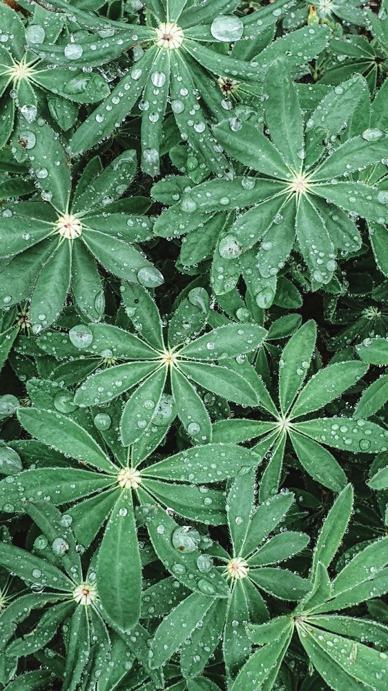 Photograph by Елена Маршавина