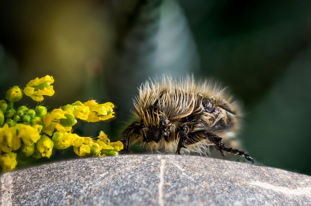 Photograph by Юрий Яковлевич