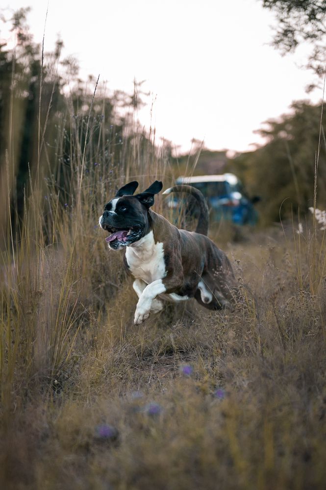 Photograph by Zandri Gillespie