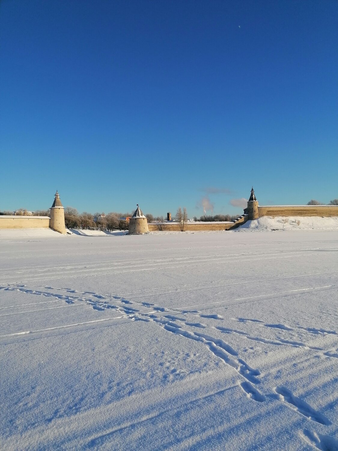 Photo #7538161
