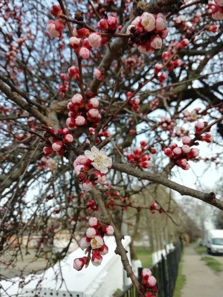 Photograph by Лариса Королева