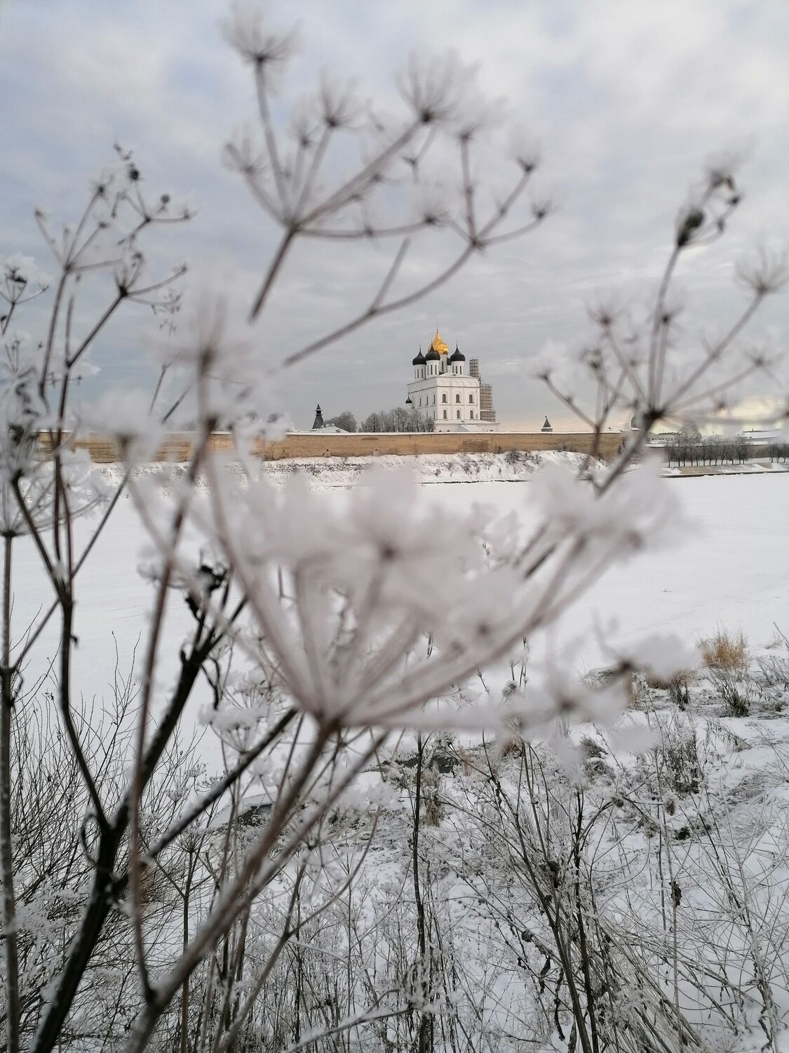 Photo #7538182