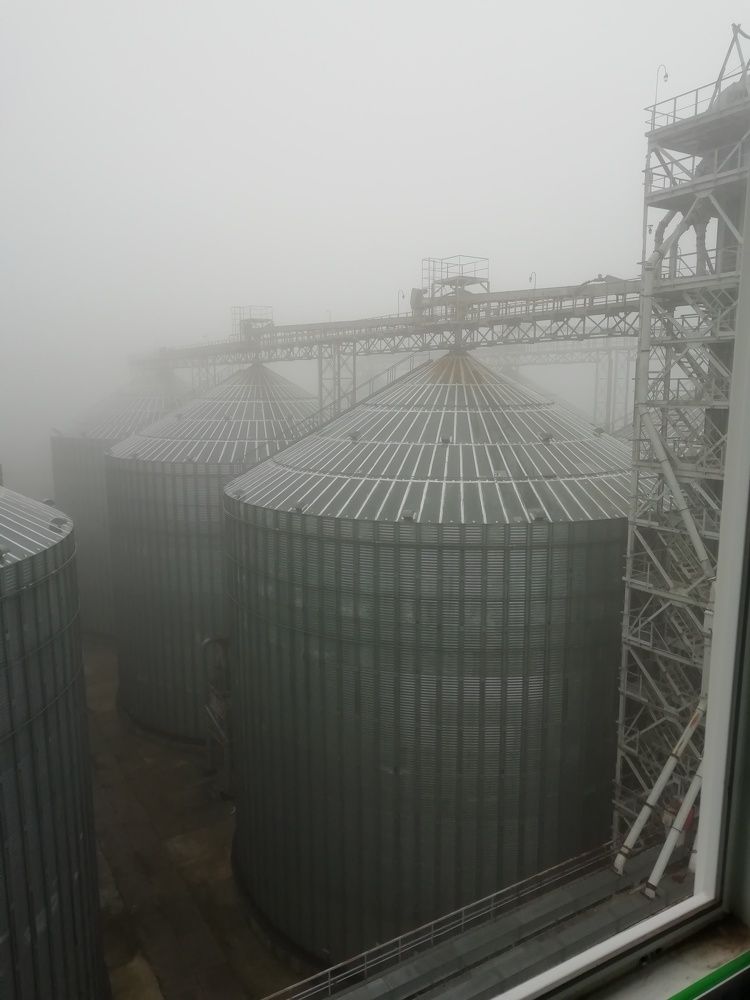 Photograph by Лариса Королева