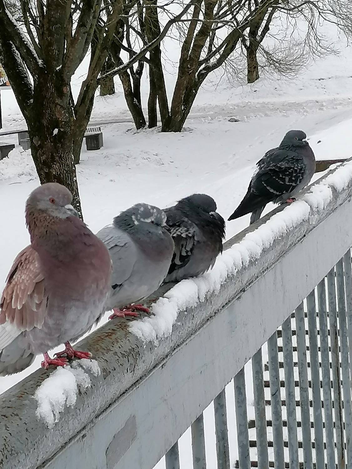 Photo #7538191