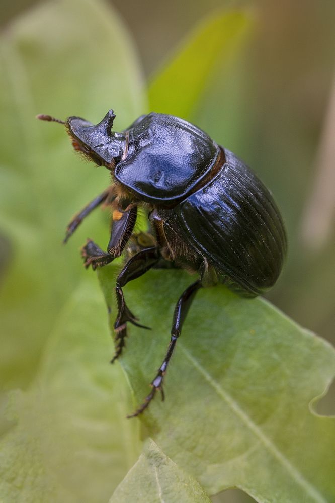 Photograph by Сергей Сягайло