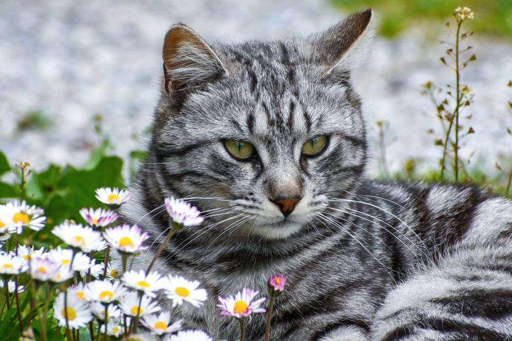 Photograph by Teresa MoliNaro