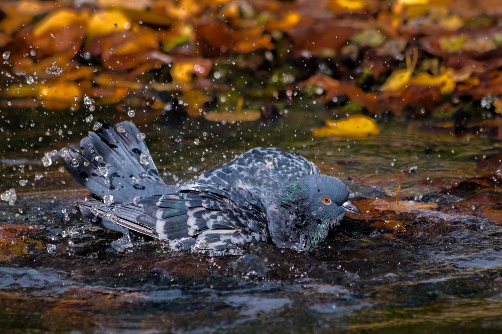 Photograph by Дмитрий Тимин