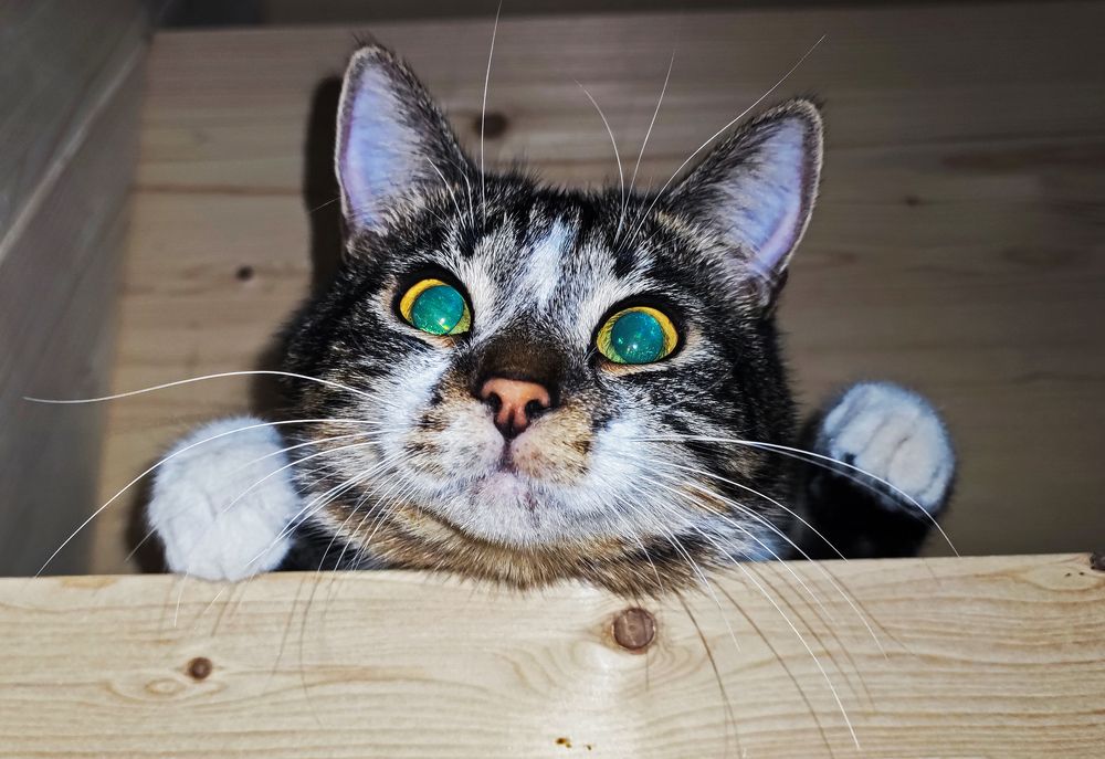 Photograph by Павел Минкевич