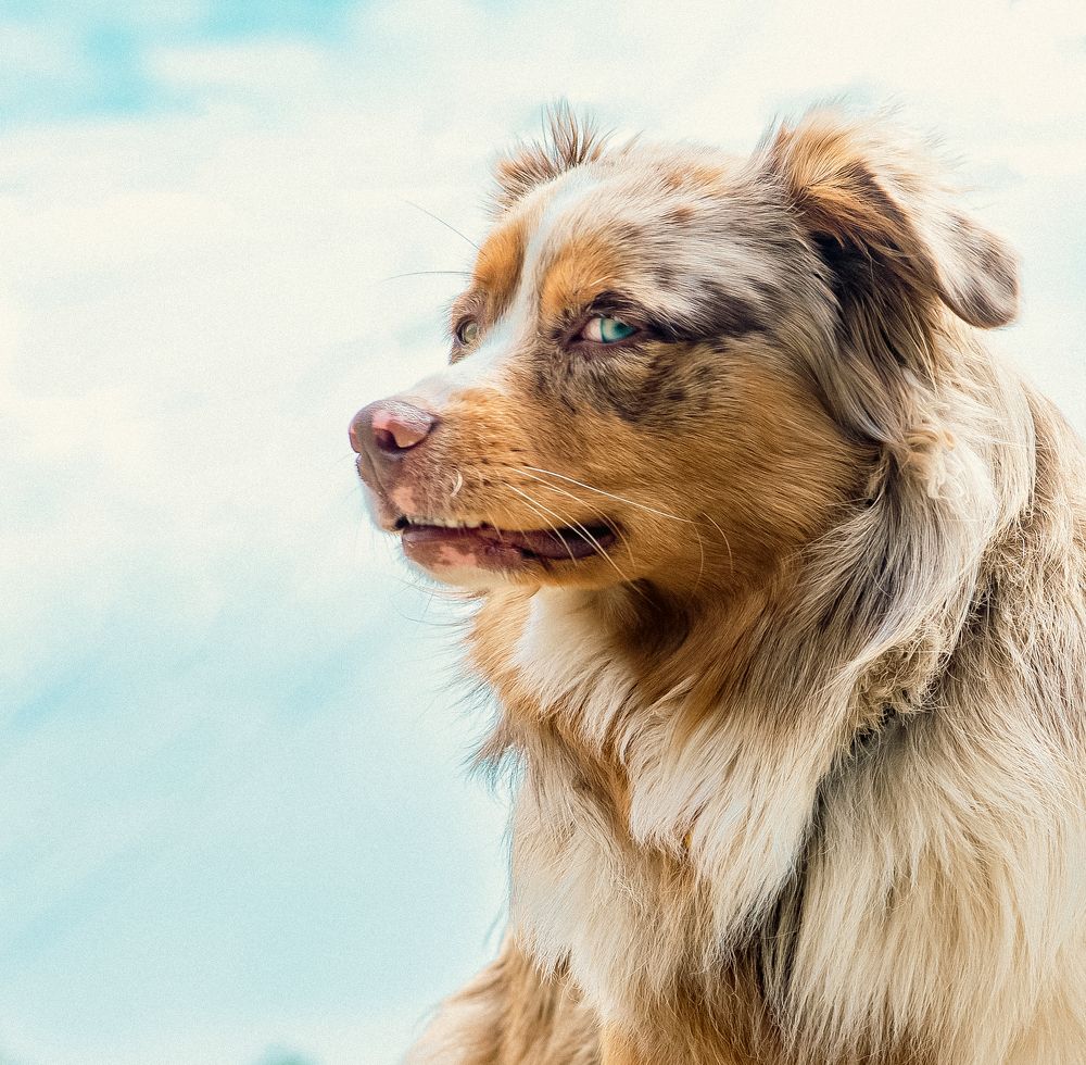 Photograph by Запылаева Анна