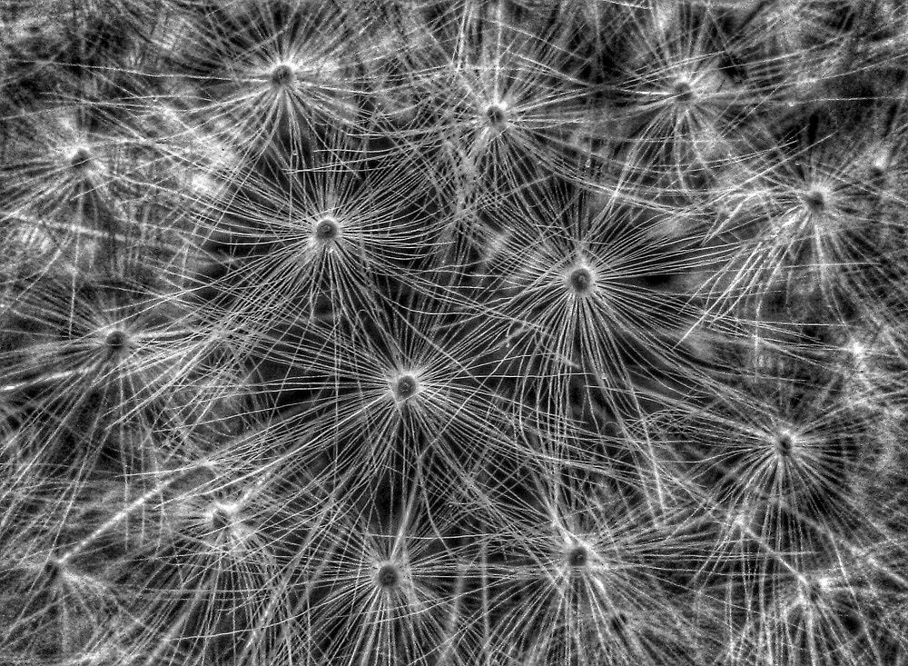 Photograph by Гурген Агаджанян