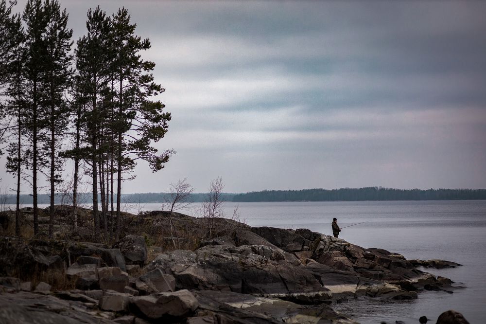Photograph by Виктория Верба