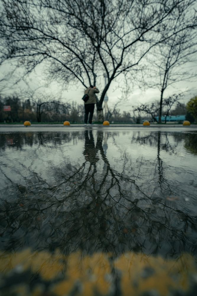 Photograph by Георгий Намазов