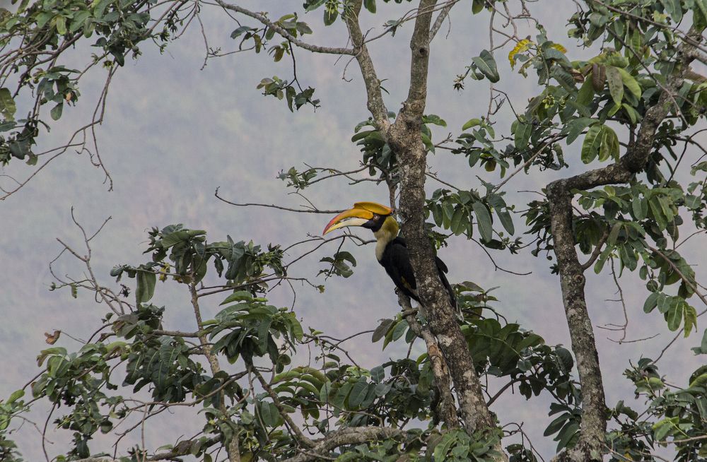 Photograph by Sandip Dey