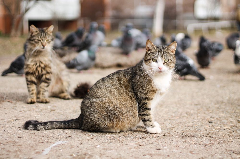 Photograph by Наталья Муравейко