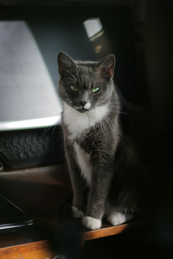 Photograph by Наталья Муравейко