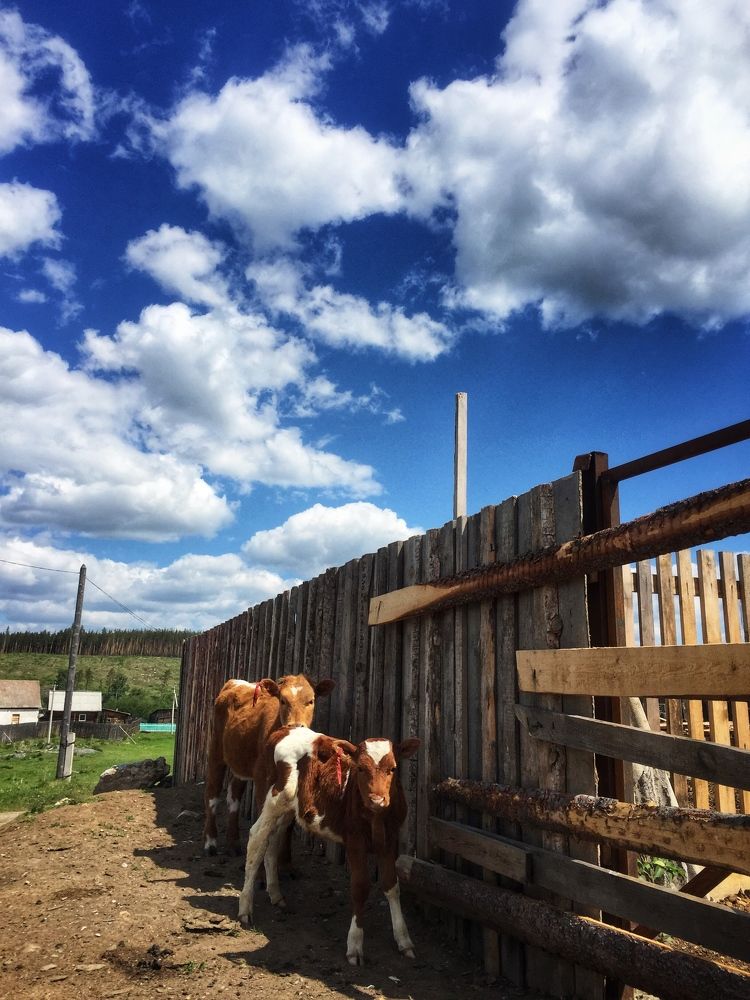 Photograph by Kseniya Zubkova