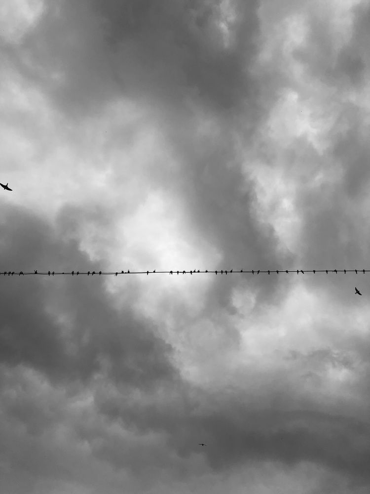 Photograph by Kseniya Zubkova