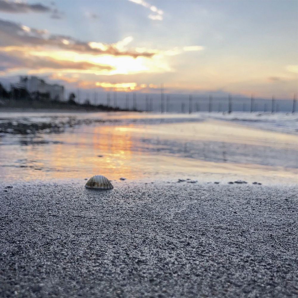 Photograph by Shahram Hodjat