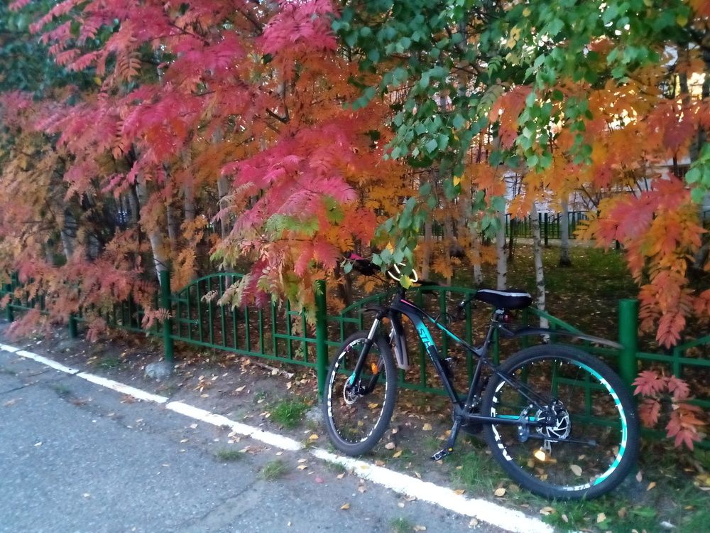 Photo #7538559