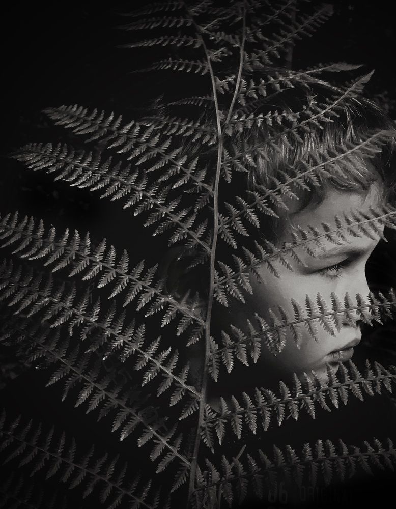 Photograph by Юлия З