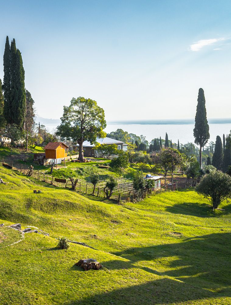 Зимний день в Абхазии