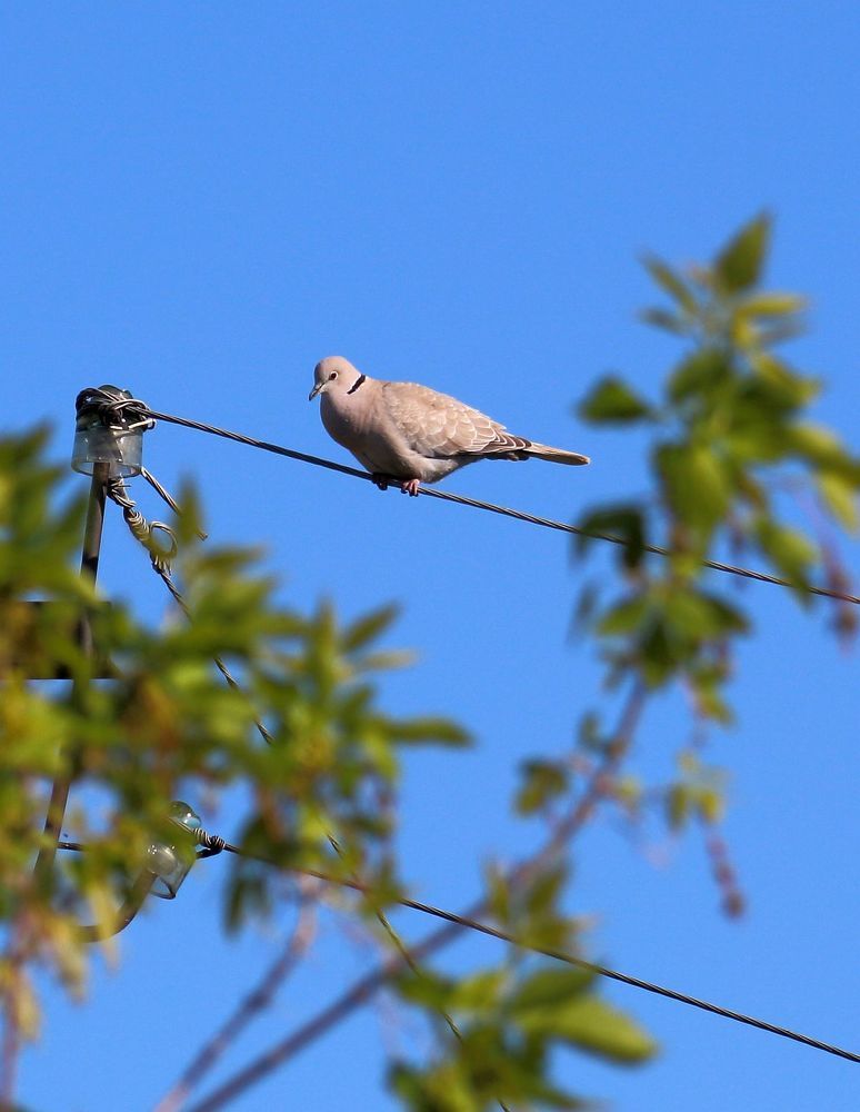 Photograph by Юрий Варюхин