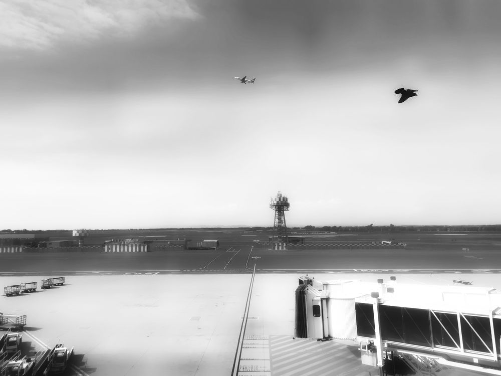 Photograph by Petar Atanasov