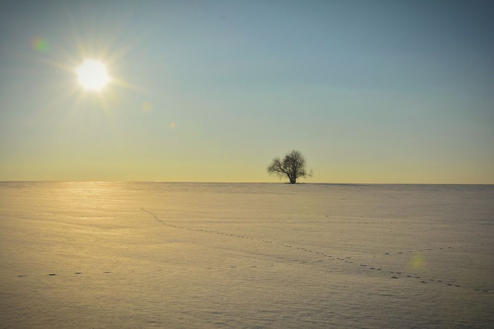 Photograph by Злобин Сергей