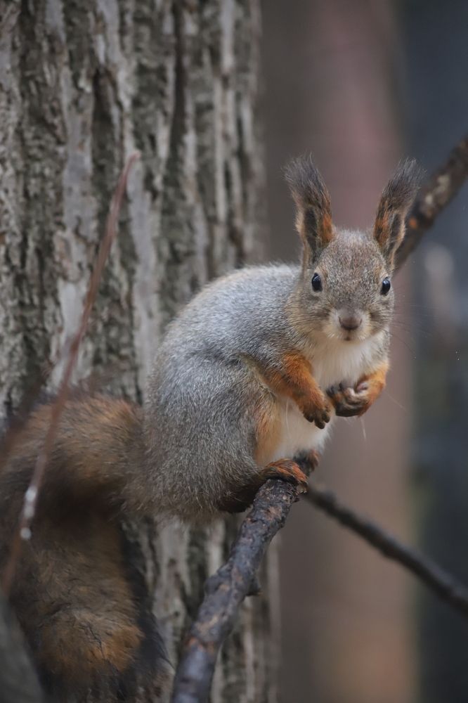 Photograph by елена