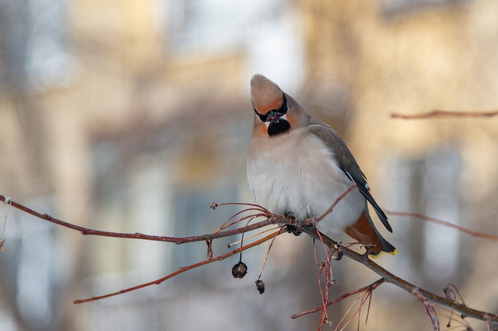 Photograph by Беловодченко
