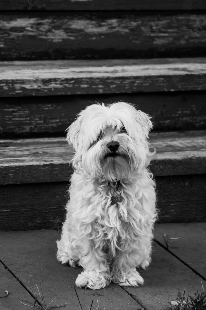 Photograph by Мария Тёмкина