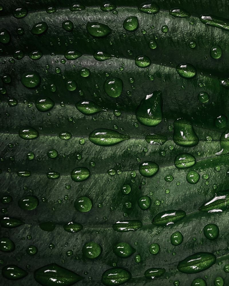 Photograph by Андрей Васильев