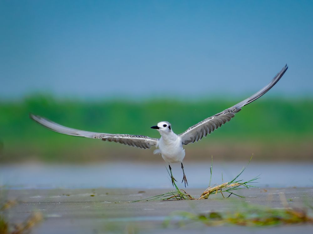 Photograph by Bayazid Ali