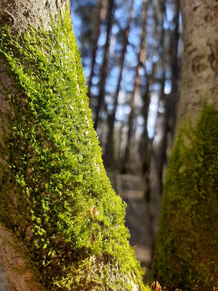 Photograph by Ксения Цветкова