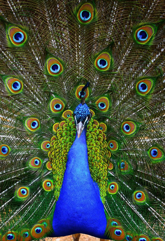 Photograph by Екатерина Гордеева