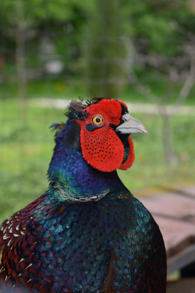 Photograph by Екатерина Гордеева