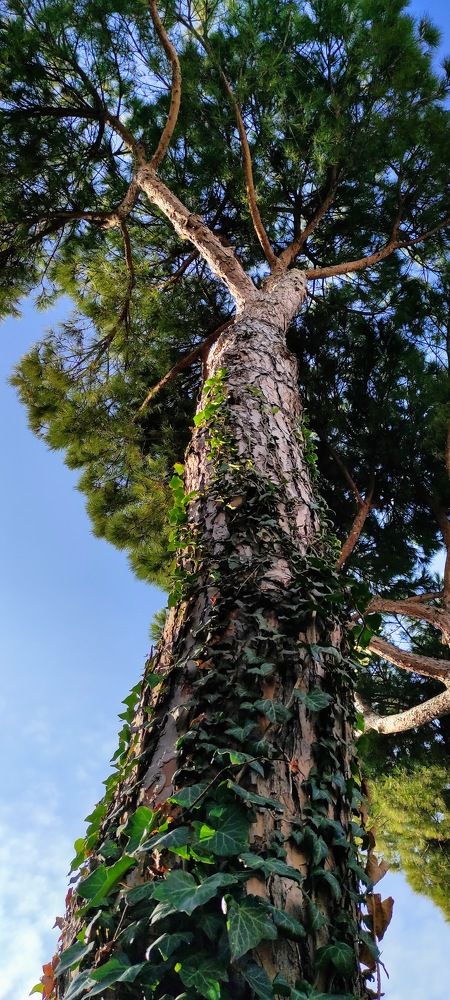 Photograph by Руслан Шулешко