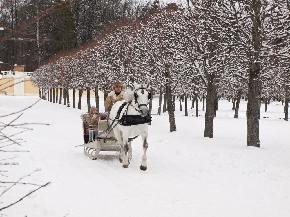 Photograph by Илюшечкина Екатерина