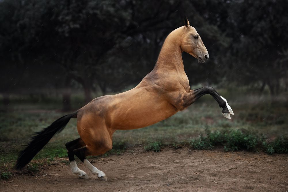 Photograph by Лия Макари