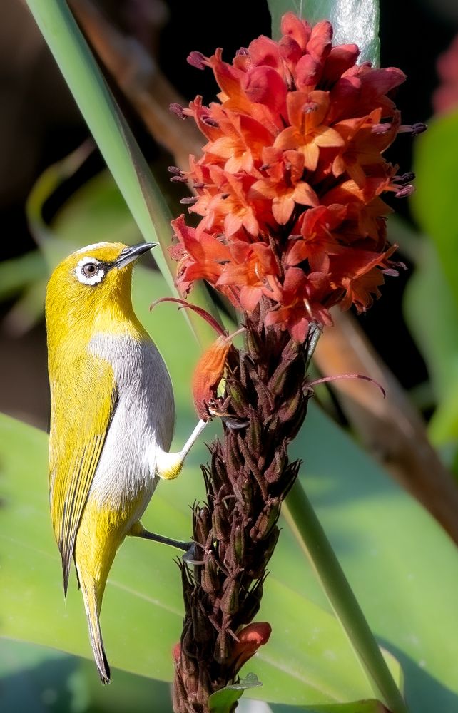 Photograph by Tanmoy Mitra