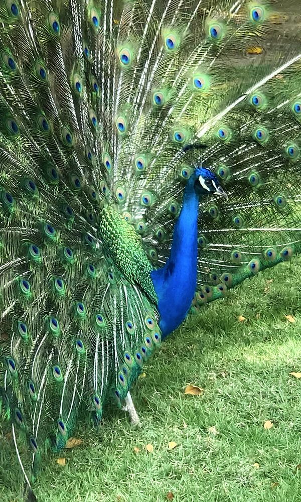 Photograph by Liliana Grup